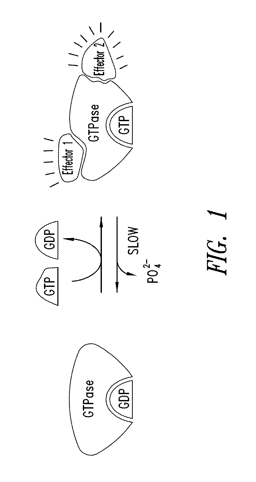 Inhibitors of kras g12c mutant proteins