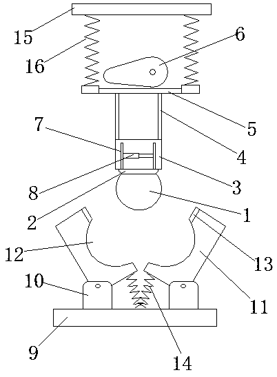 Large particle coke fragmentation and differentiation device