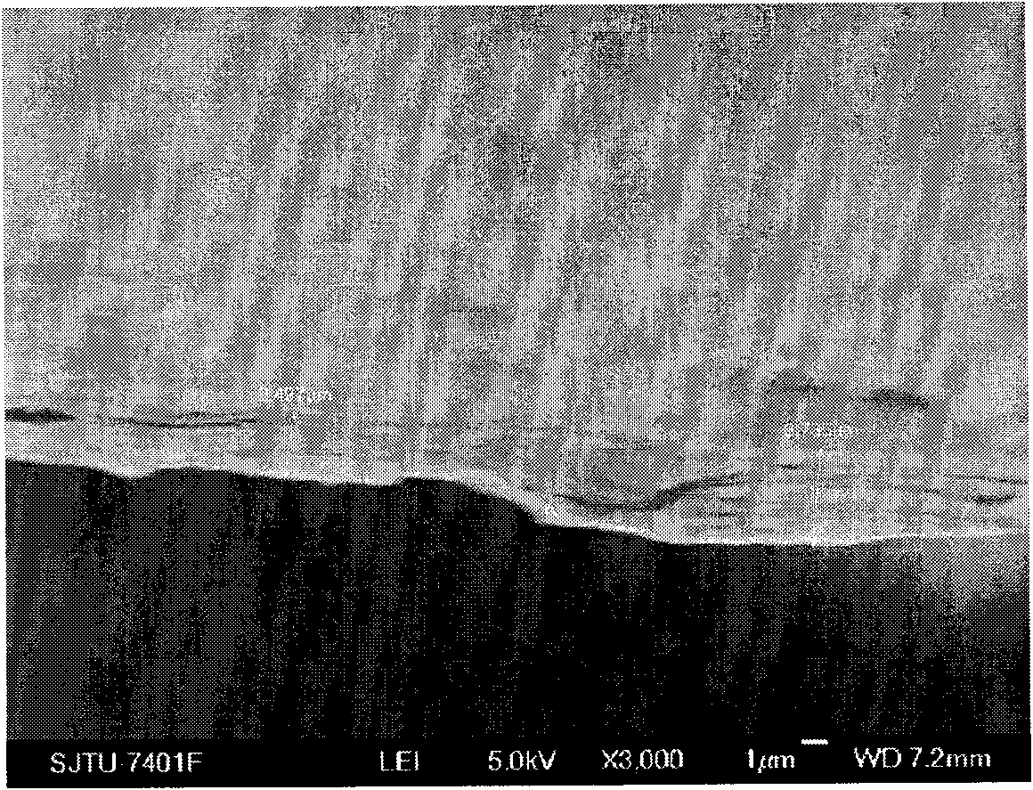 Preparation method of negative electrode material of lithium ion battery