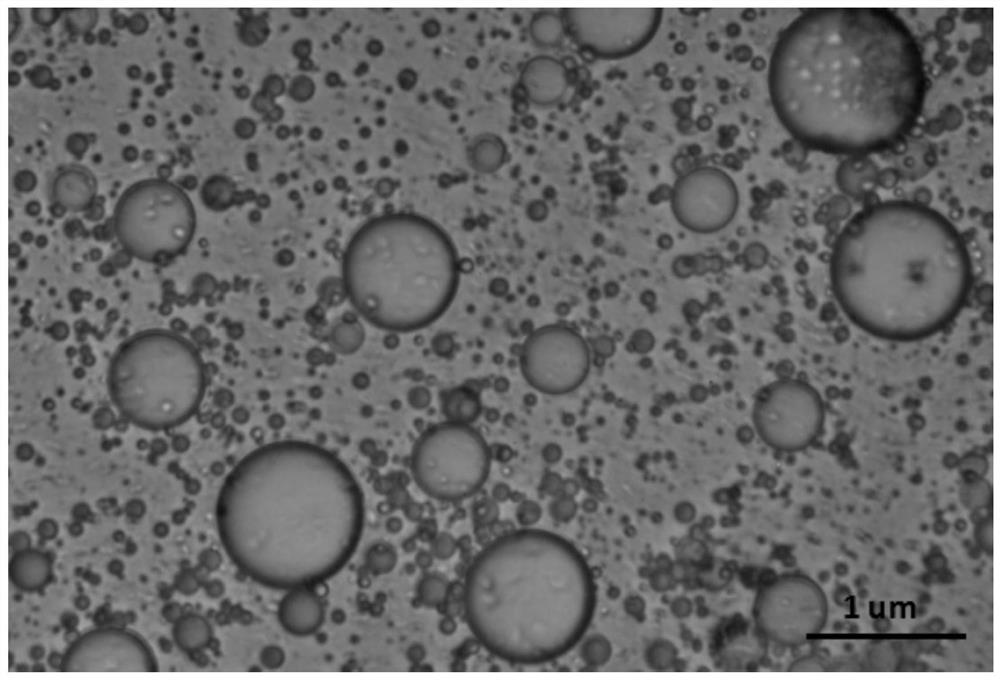 A kind of preparation method of janus organic pigment particles with amphiphilic