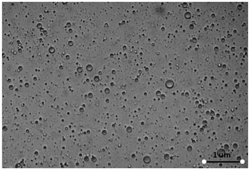 A kind of preparation method of janus organic pigment particles with amphiphilic