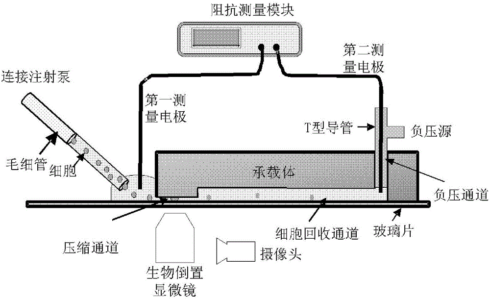 Capillary tube sampling system and method and single-cell electrical characteristic detection system