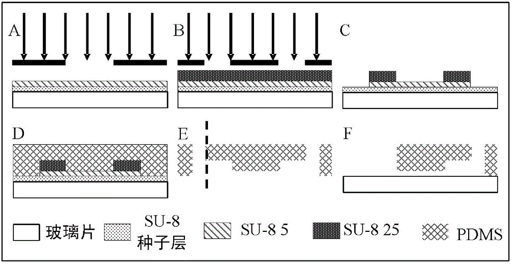 Capillary tube sampling system and method and single-cell electrical characteristic detection system