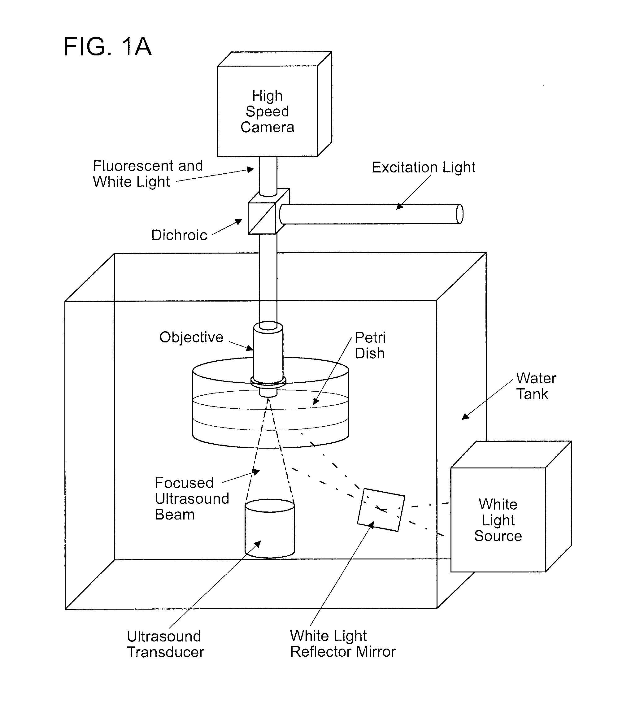 Sonogenic Stimulation of Cells