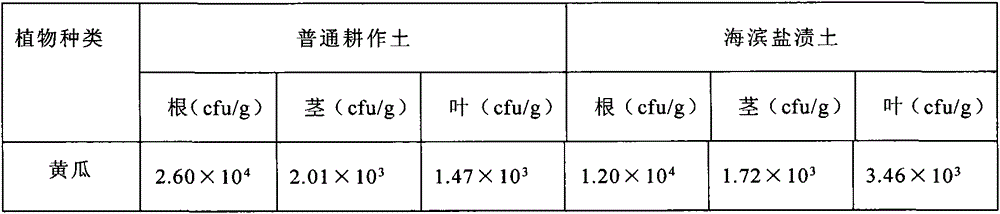 Bacillus marinus capable of inducing disease resistance and stress tolerance of plant