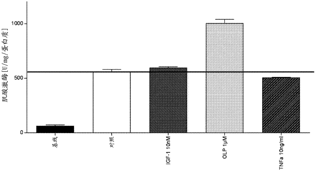 Compositions and methods using a polyphenol for musculoskeletal health