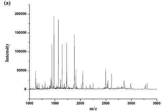 Hydrophilic metal ion immobilization affinity magnetic bead and preparation and application thereof