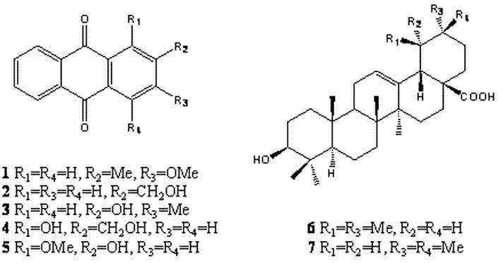 Preparation method of Hedyotis diffusa Willd. anti-cancer active component