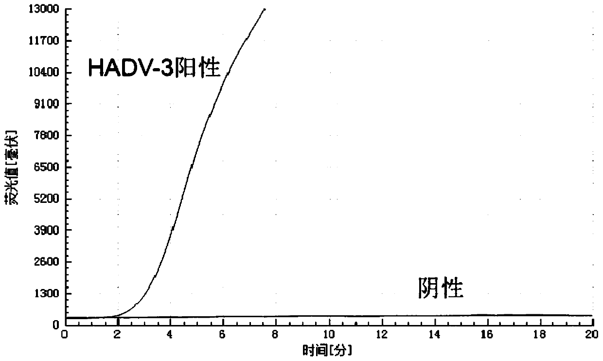 B-actin-contained dual isothermal nucleic acid amplification method for rapidly detecting type-3 human adenovirus