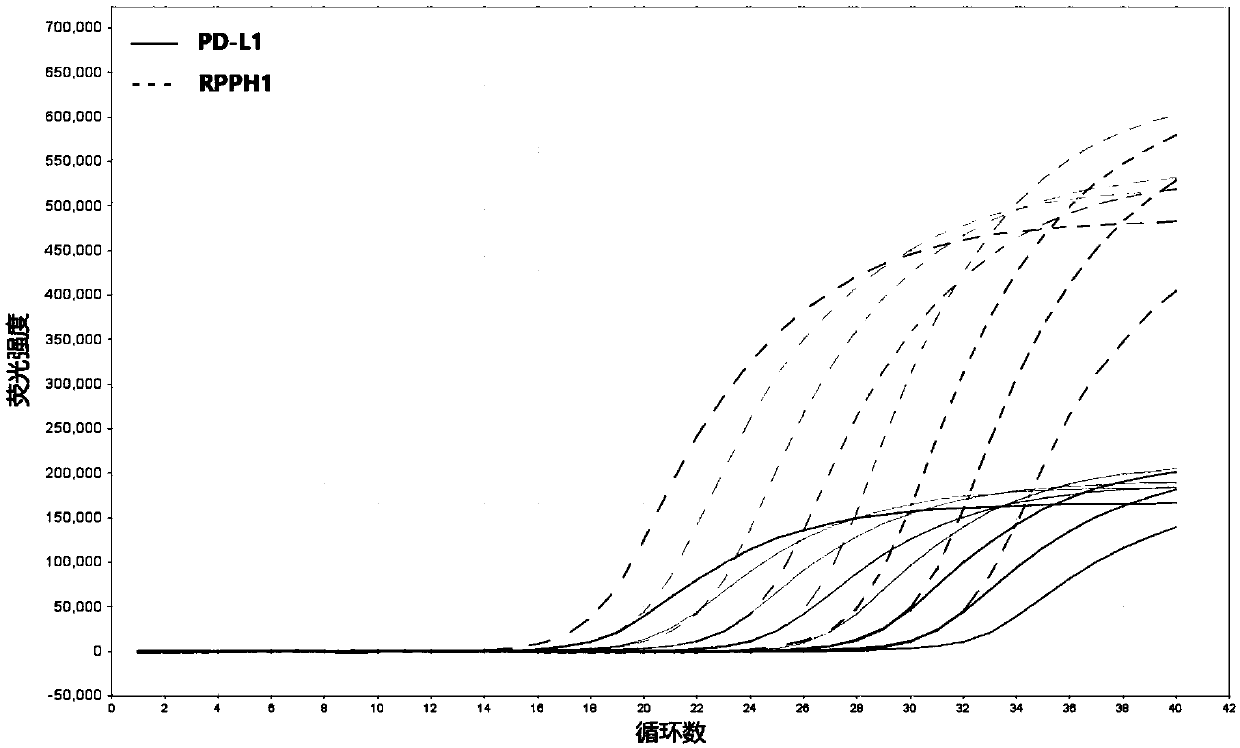 Method, primers and kit for detecting PD-L1 gene expression quantity through real-time fluorescent quantitative PCR