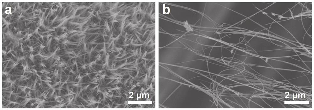 A manganese dioxide ultra-long nanowire catalyst with oxygen vacancies and its preparation method and application