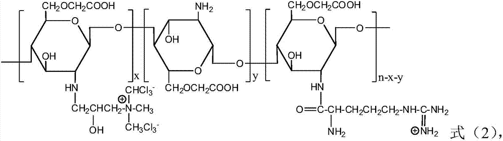 Safe and efficient gynecological washing and protection product and preparation method thereof