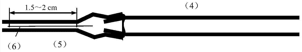 A kind of coaxial type composite oxygen microelectrode and preparation method thereof