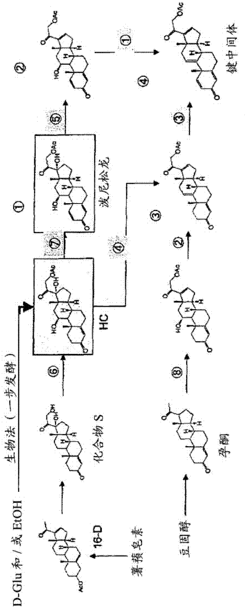 Enzyme protein for cutting sterol side chain and its application