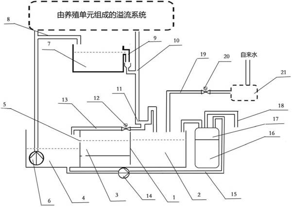 Water treatment unit for zebrafish culture system using brine shrimp for feeding