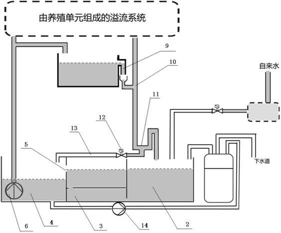 Water treatment unit for zebrafish culture system using brine shrimp for feeding