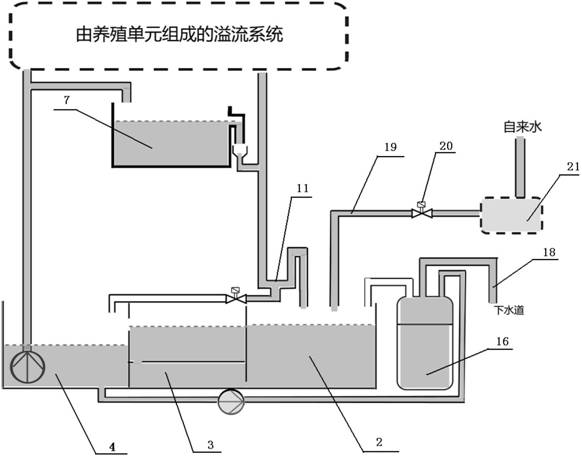 Water treatment unit for zebrafish culture system using brine shrimp for feeding