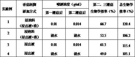 Needle mushroom cultivation method