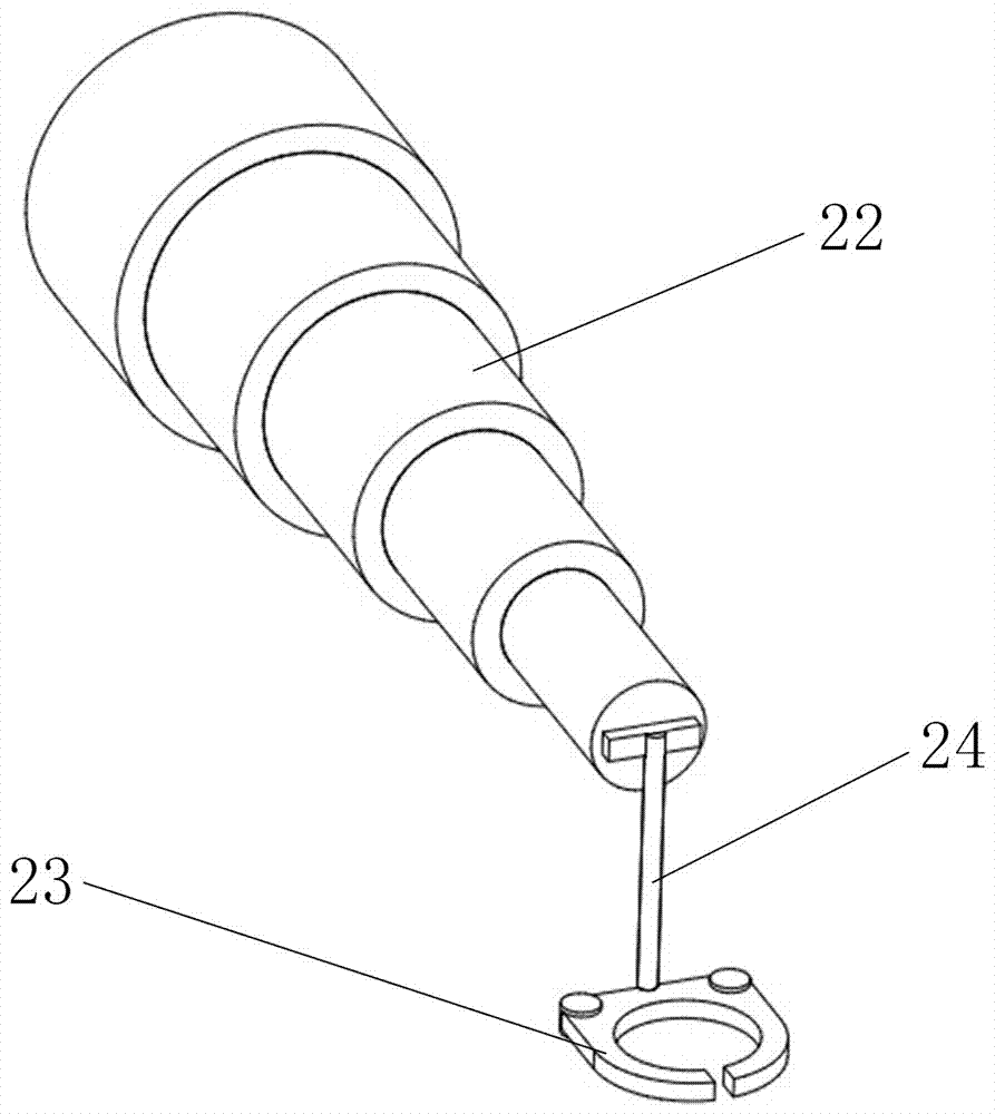 Multi-task ion determination device