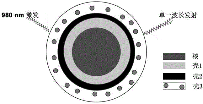 Single-emission up-conversion nano fluorescent probe and synthetic method thereof