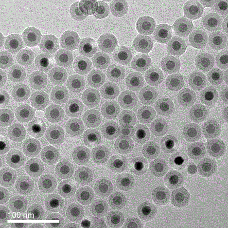 Single-emission up-conversion nano fluorescent probe and synthetic method thereof