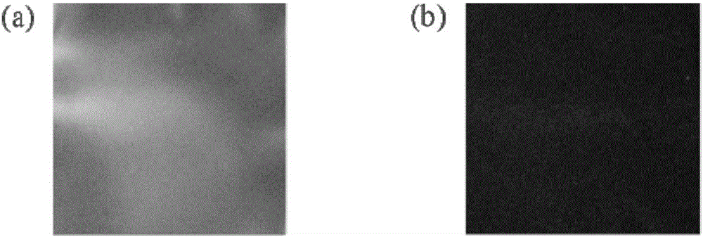 Self-supporting film provided with microstructure surface and preparation method thereof