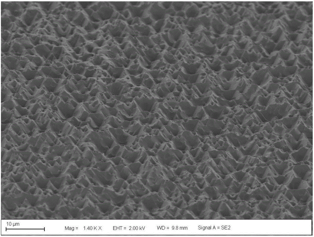 Self-supporting film provided with microstructure surface and preparation method thereof