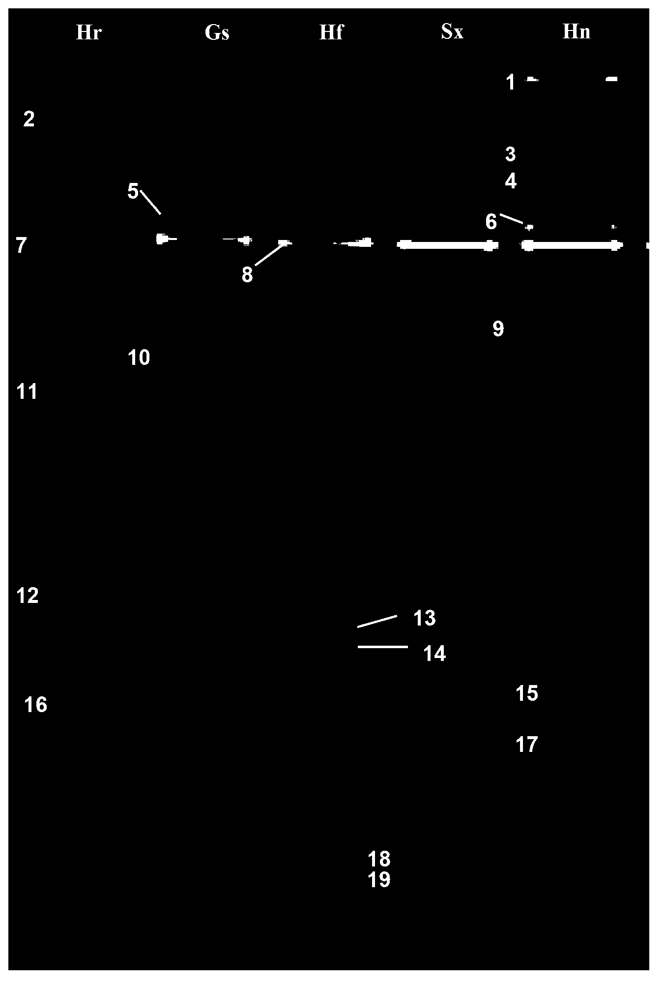 Method for identifying fungi microflora composition in fermented sourdough