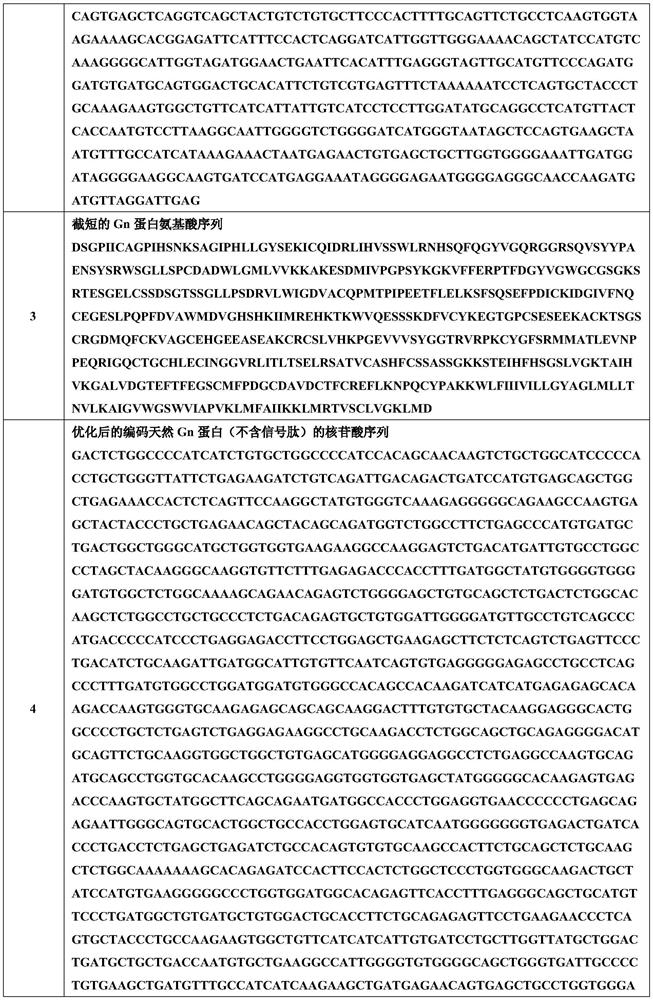 Truncated Gn protein of severe fever with thrombocytopenia syndrome virus and application thereof