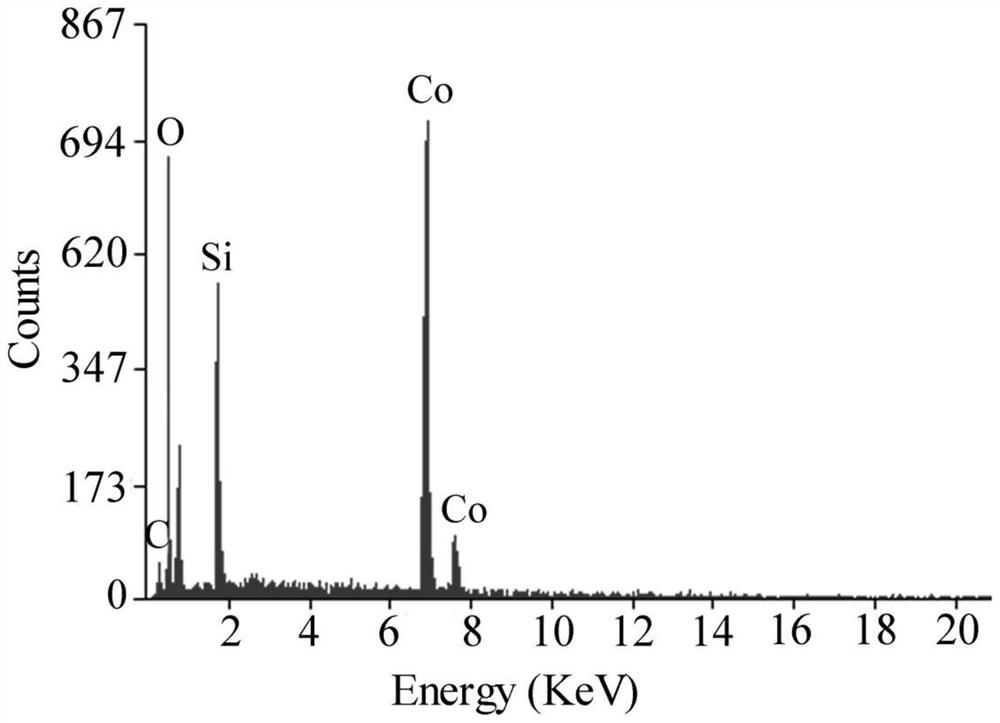 Preparation method of sea urchin-shaped basic cobalt carbonate