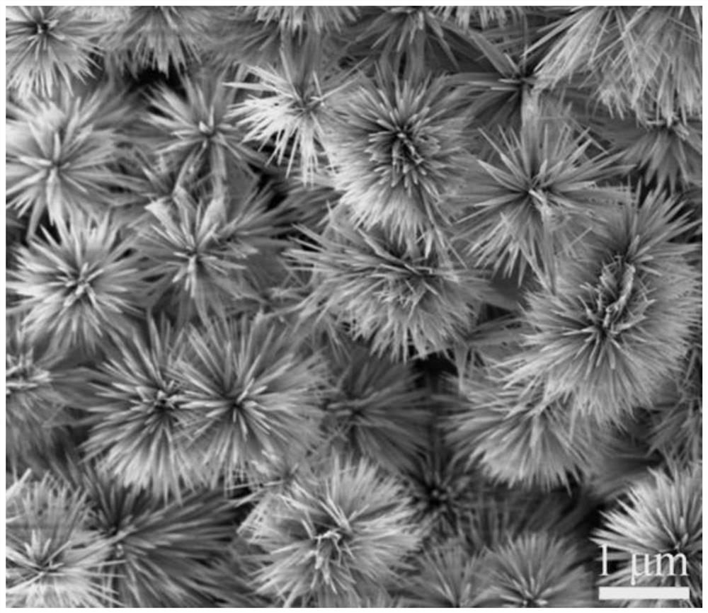 Preparation method of sea urchin-shaped basic cobalt carbonate