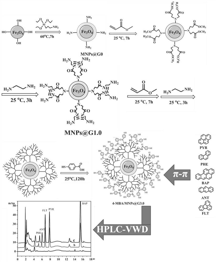 Magnetic PAMAM dendrimer material modified by p-mercaptobenzoic acid