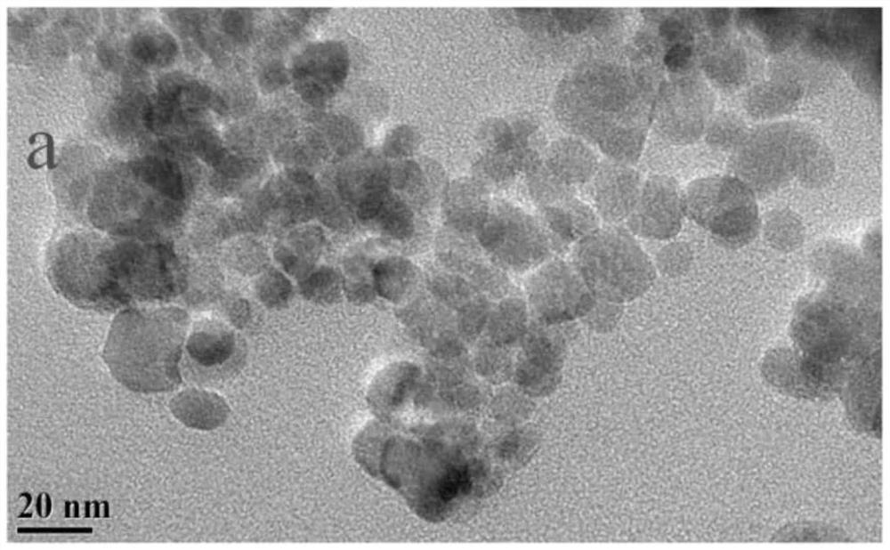 Magnetic PAMAM dendrimer material modified by p-mercaptobenzoic acid