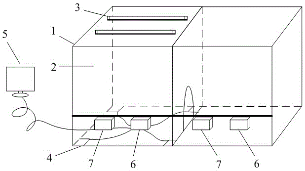 Method and system for monitoring routine and activity of chickens