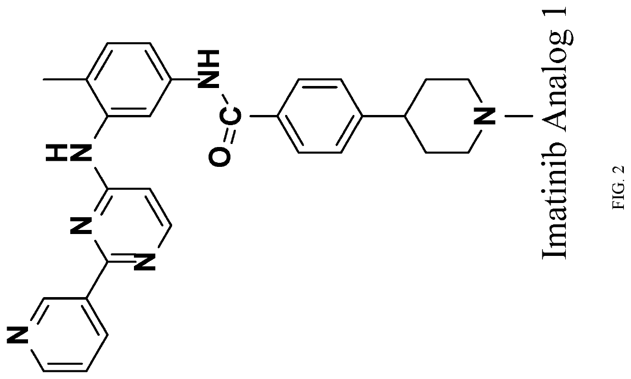 Compounds for Treating Neurodegenerative Diseases and Cancers