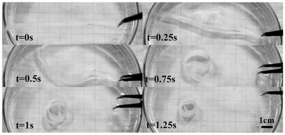 Preparation method of 3D printing shaping-free self-deforming shape memory intelligent material