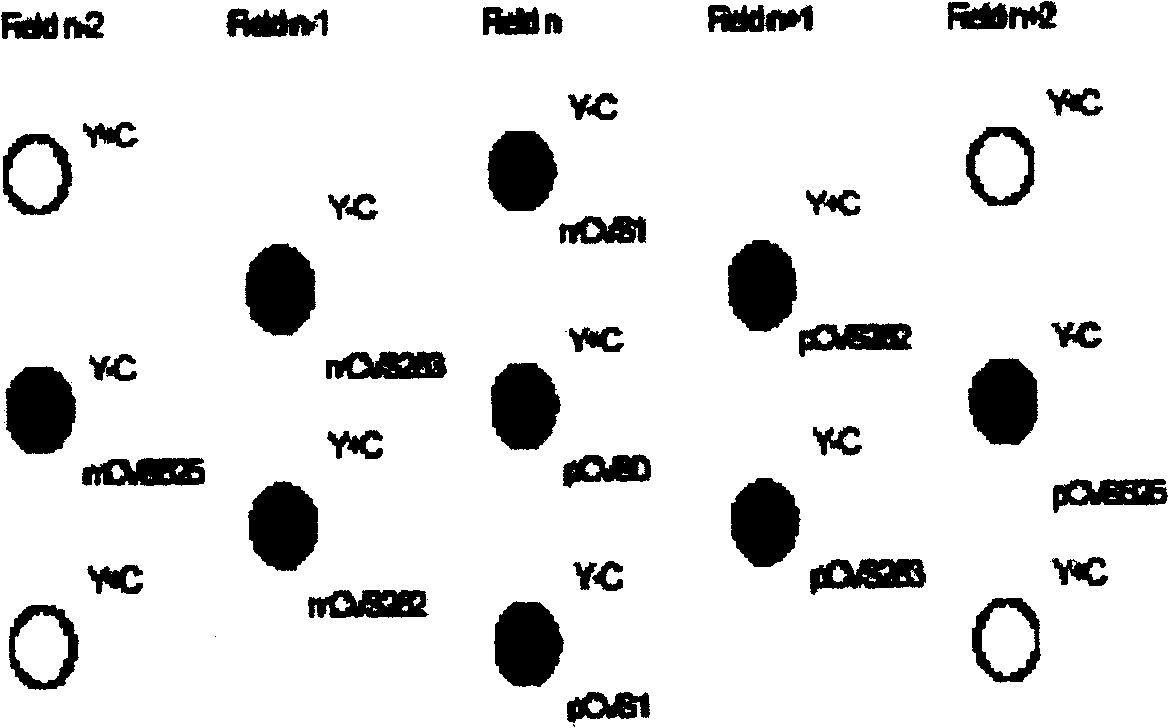 High-definition super processor and method therefor