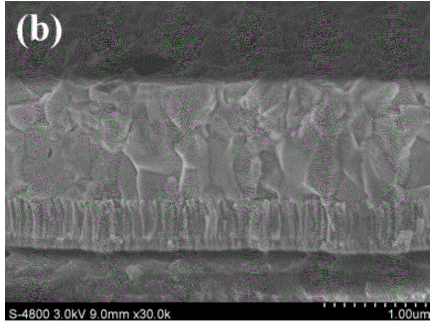 Alkali metal doping method for preparing CIGS absorbing layer on flexible substrate