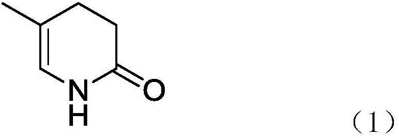Method for catalytic synthesis of 5-methyl-3,4-dihydropyridin-2 (1H)-one chemical intermediate
