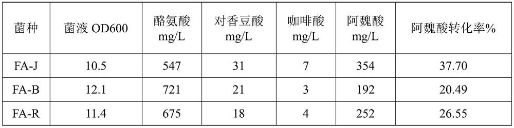 Genetically engineered bacterium for producing ferulic acid and biosynthesis method of ferulic acid