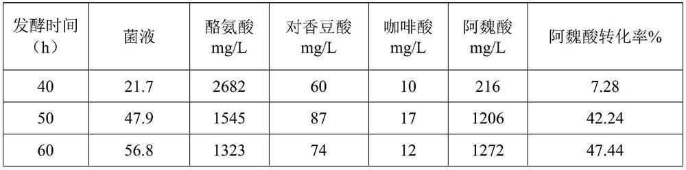 Genetically engineered bacterium for producing ferulic acid and biosynthesis method of ferulic acid