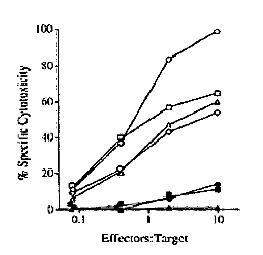 Mage-a3/hpv 16 peptide vaccines for head and neck cancer