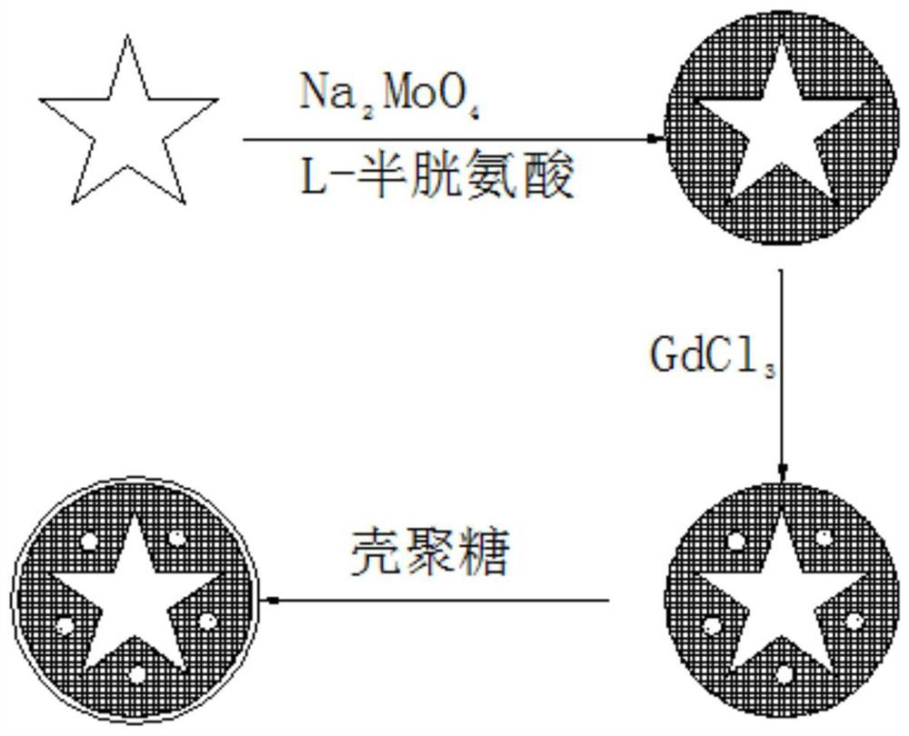 A kind of nuclear magnetic resonance imaging-guided photothermal and photodynamic diagnosis and treatment integrated reagent and preparation method thereof