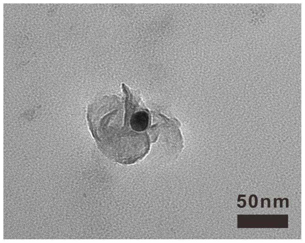 A kind of nuclear magnetic resonance imaging-guided photothermal and photodynamic diagnosis and treatment integrated reagent and preparation method thereof