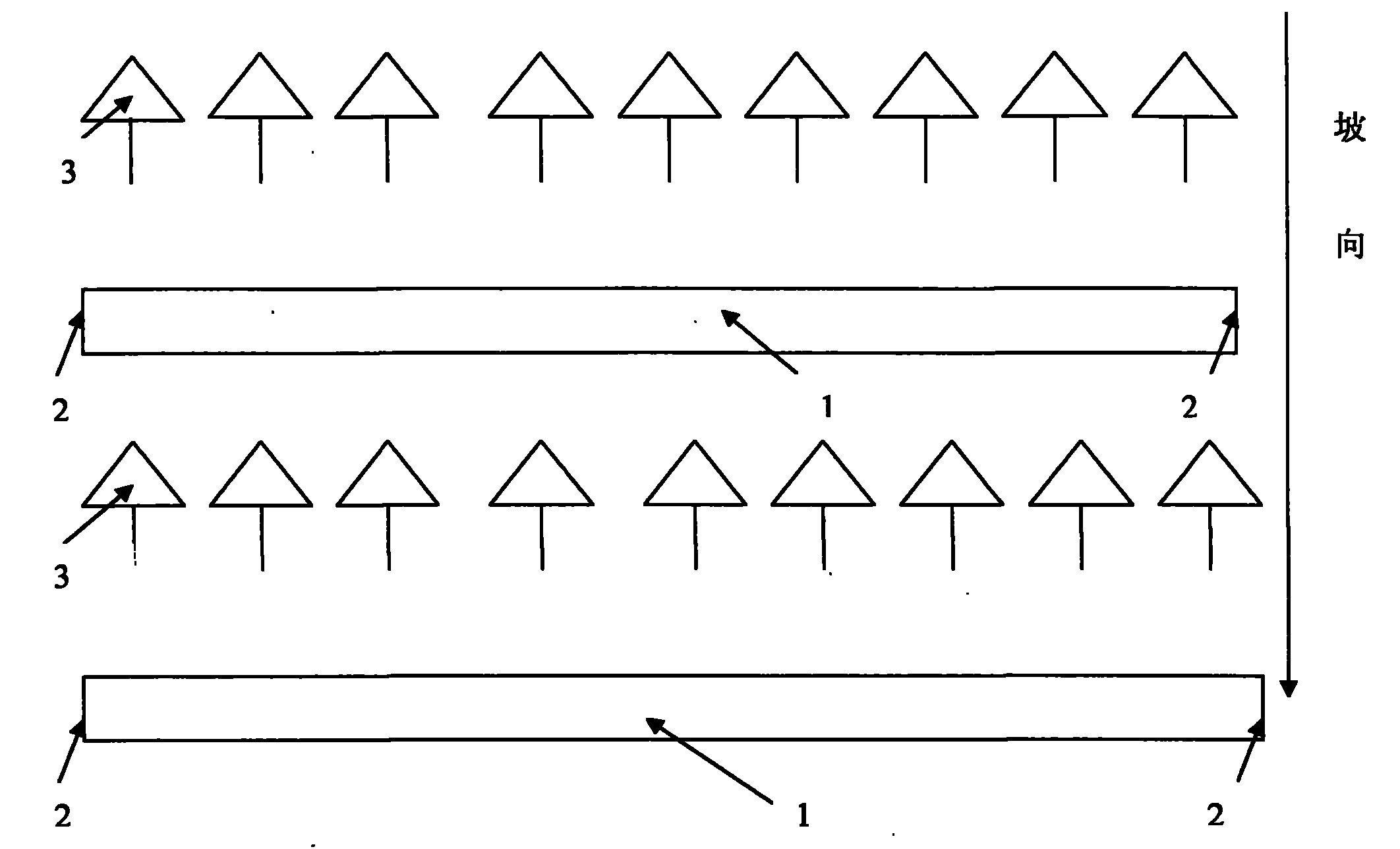 Drought-resisting and water-saving irrigation method for dry-hot valley slope garden