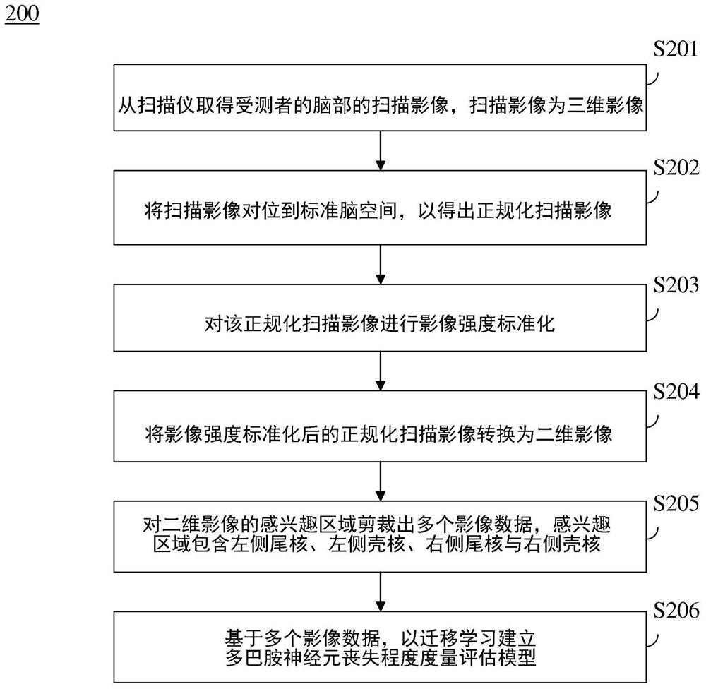 Brain dopamine transporter examination system and operation method thereof