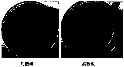 Traditional Chinese medicine composition for resisting breast cancer, traditional Chinese medicine preparation and preparation method of preparation