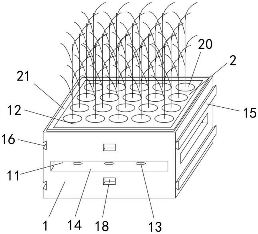 New plant variety cultivation method