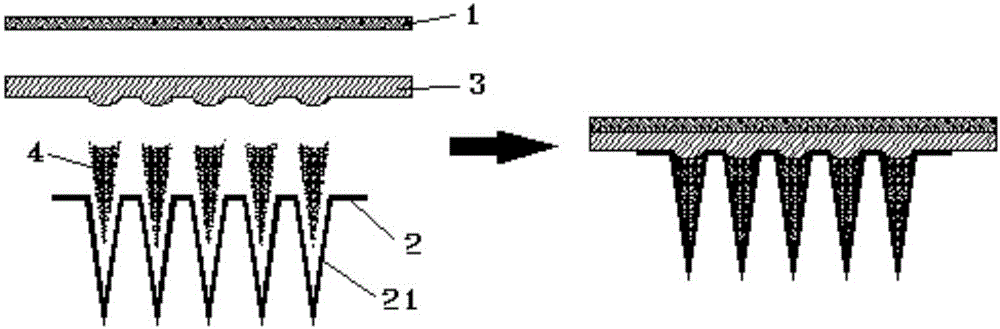 Silk fibroin micro-needle patch and preparation method thereof