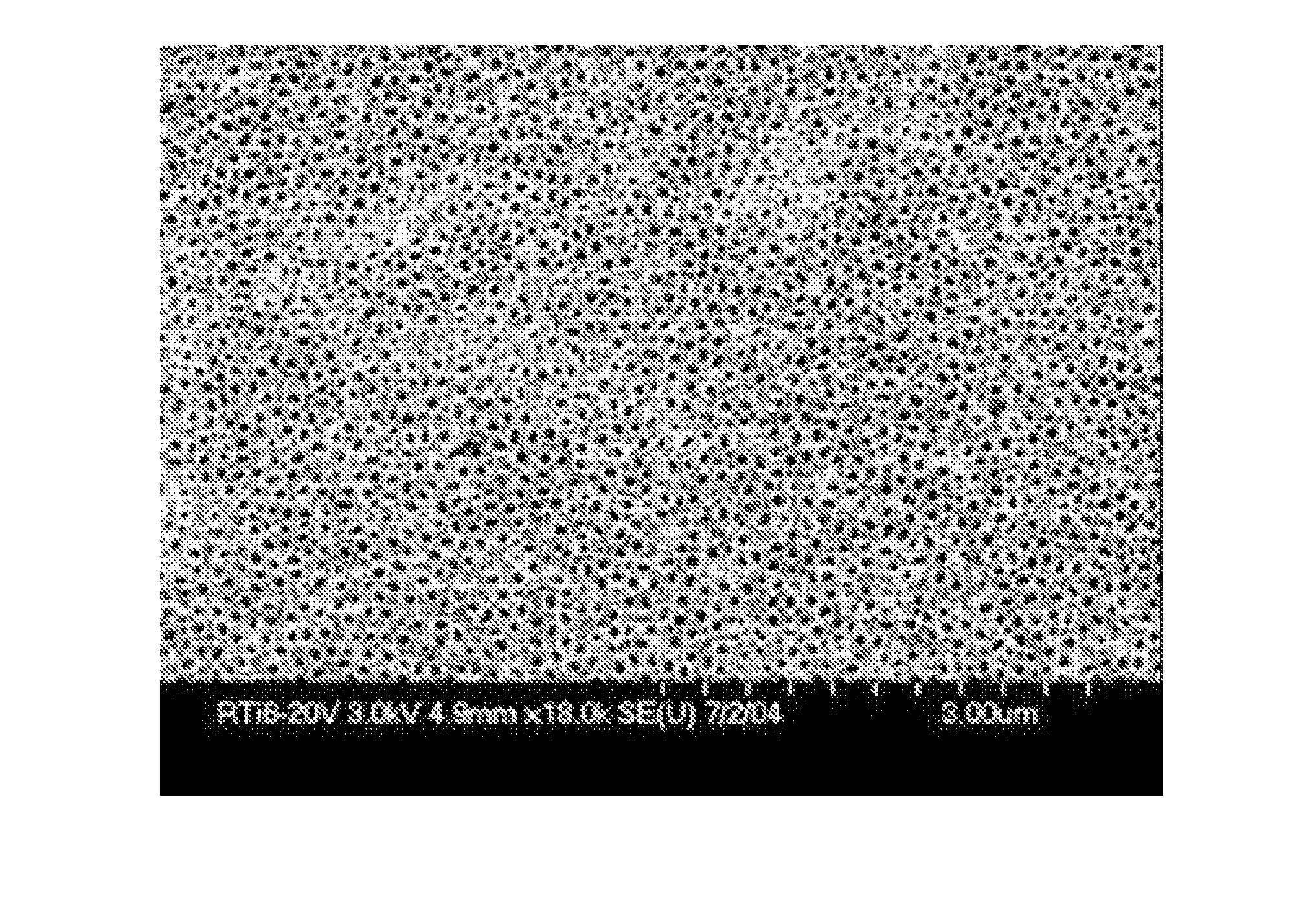 Preparation of nano-tubular titania substrates having gold and carbon particles deposited thereon and their use in photo-electrolysis of water